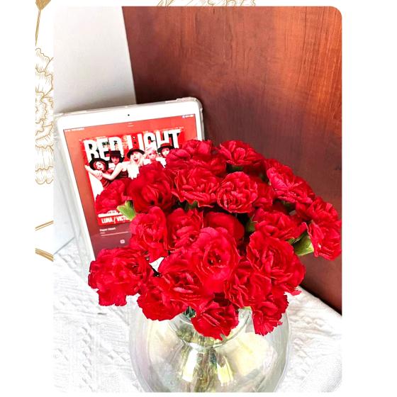 red Spray Carnation
